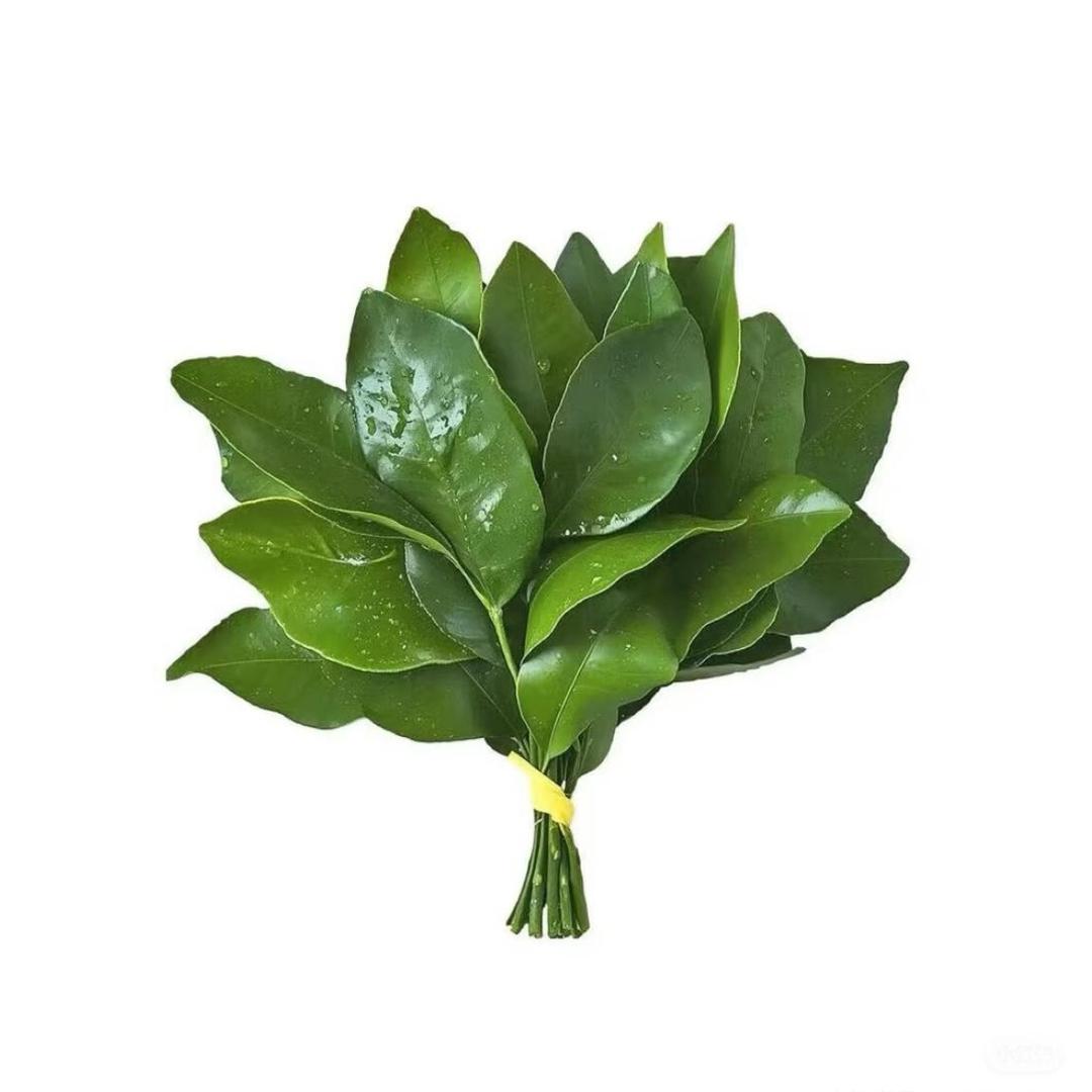 呢由