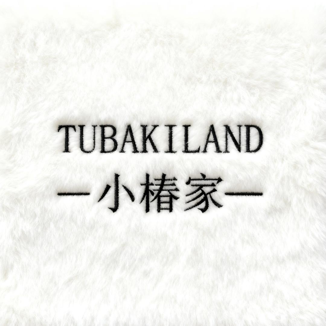 小椿家洗护清洁