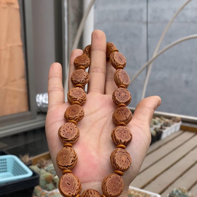炎林桃枭结缘