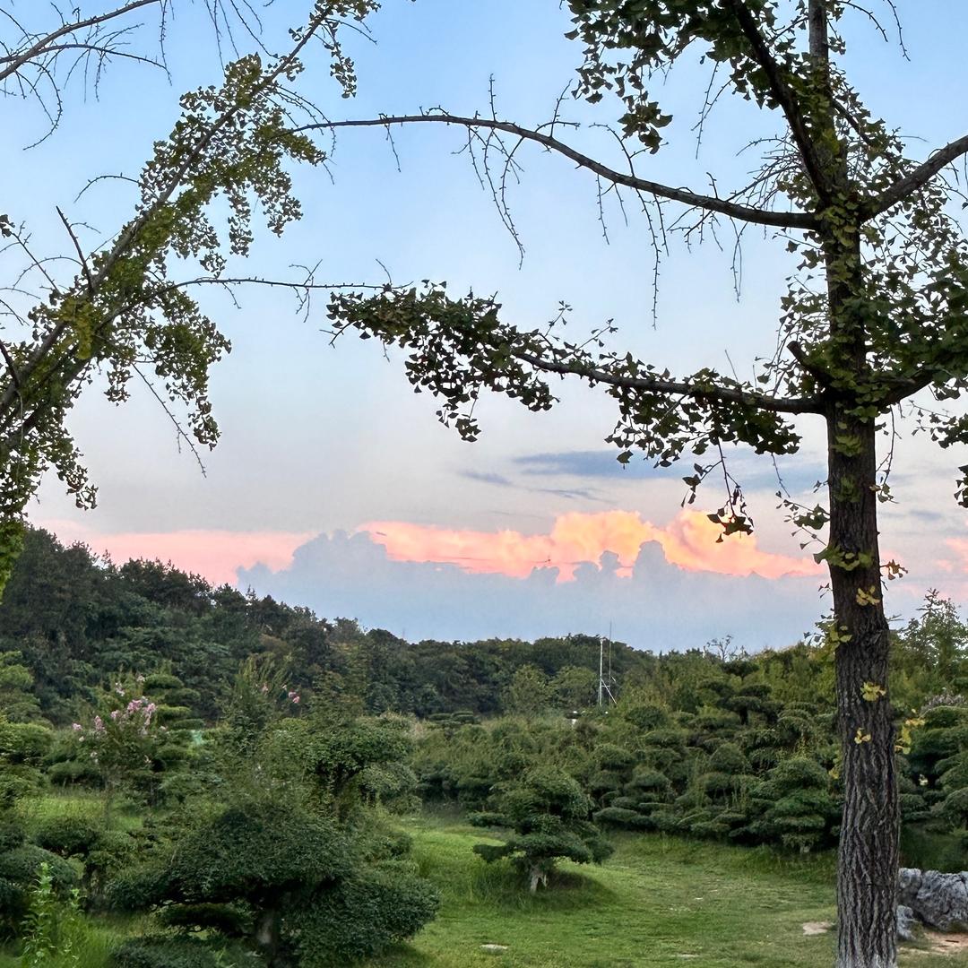 张老师讲社工（创之骐）