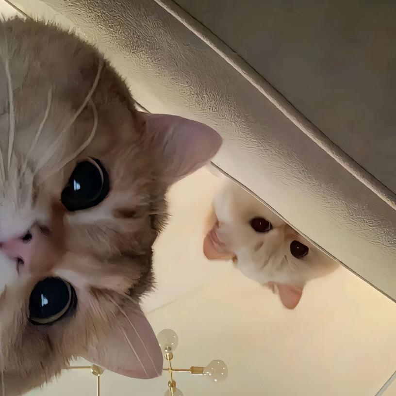 −魚.