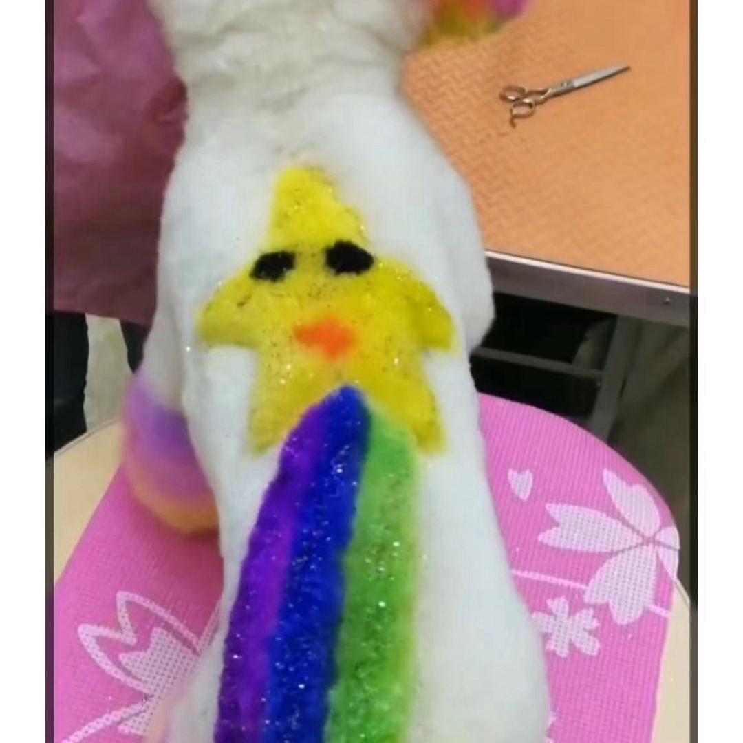 专业宠物美容师