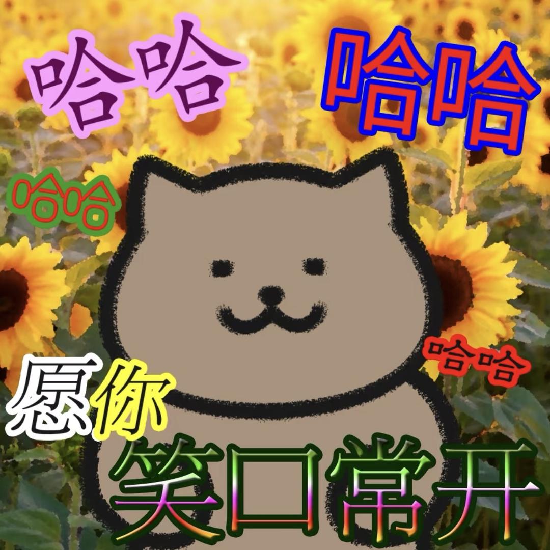 花开富贵潮玩