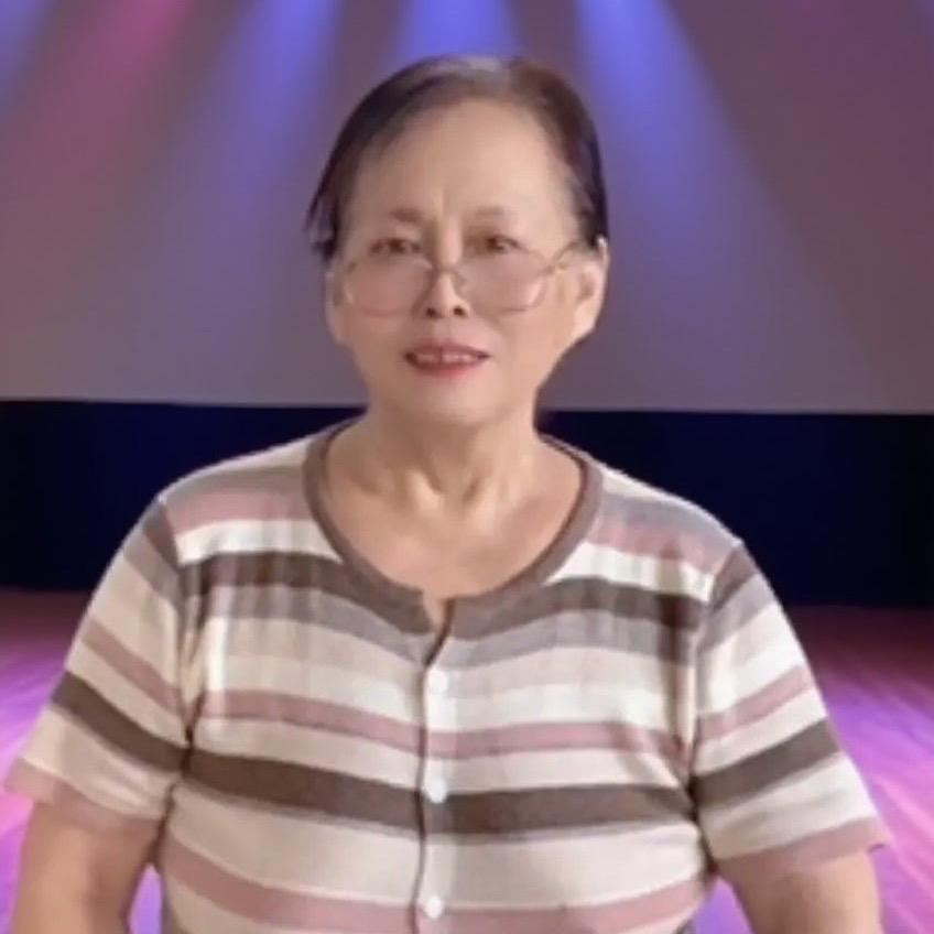 小李特效