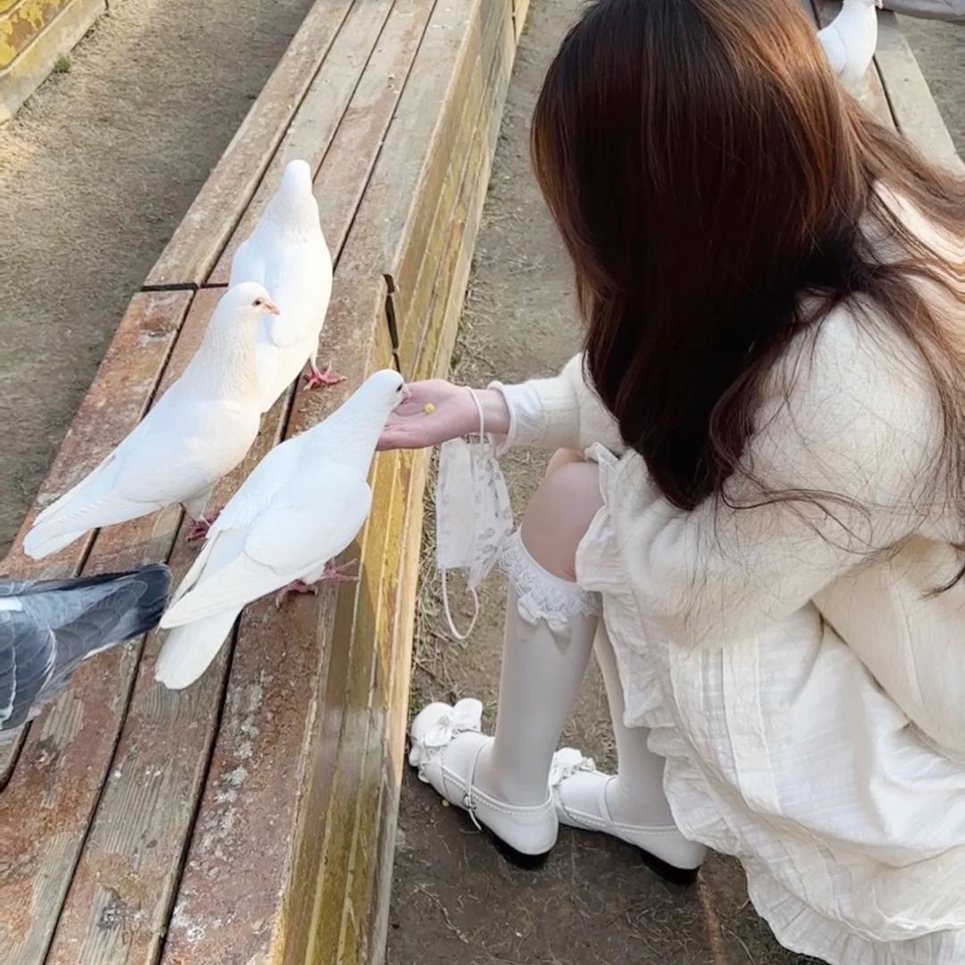 紫薯芋妮