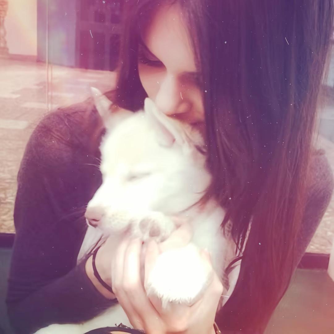 想狐狸（全网最尊重晁澄的账号