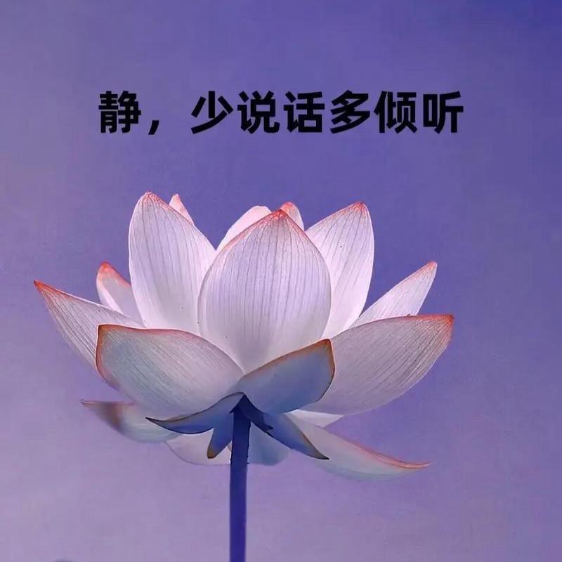 王念伟