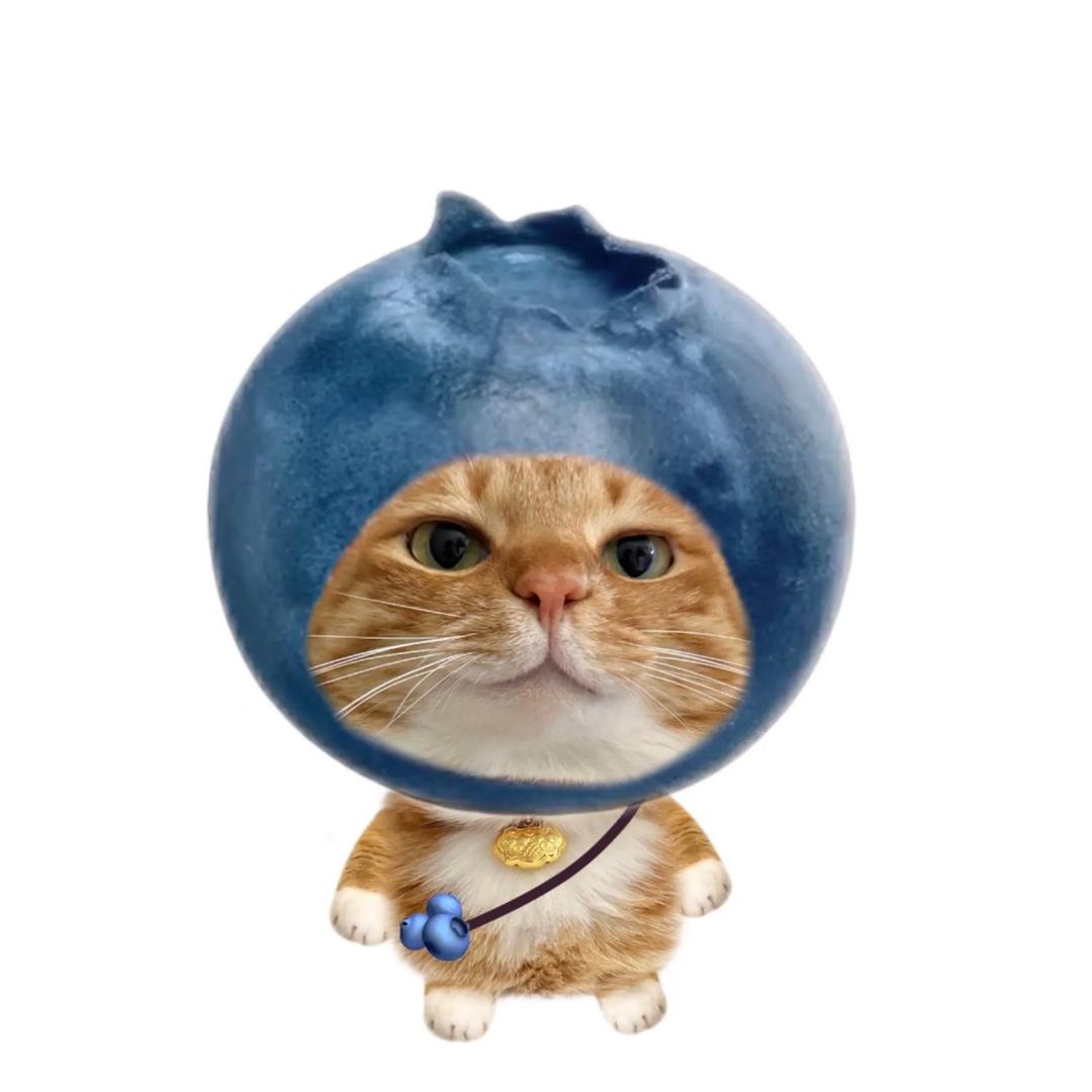 妩媚派大星