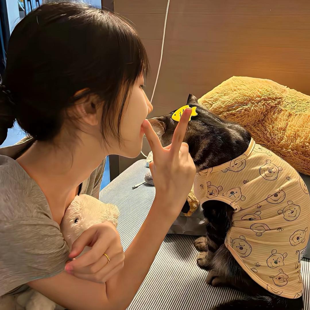 八彩宝藏✨