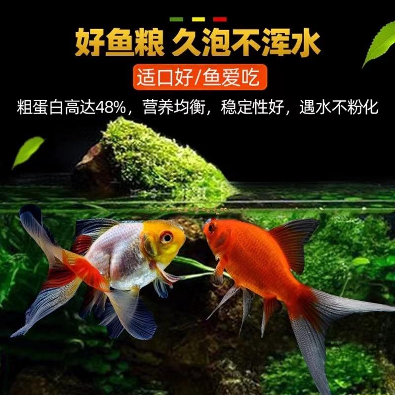 观赏鱼饲料