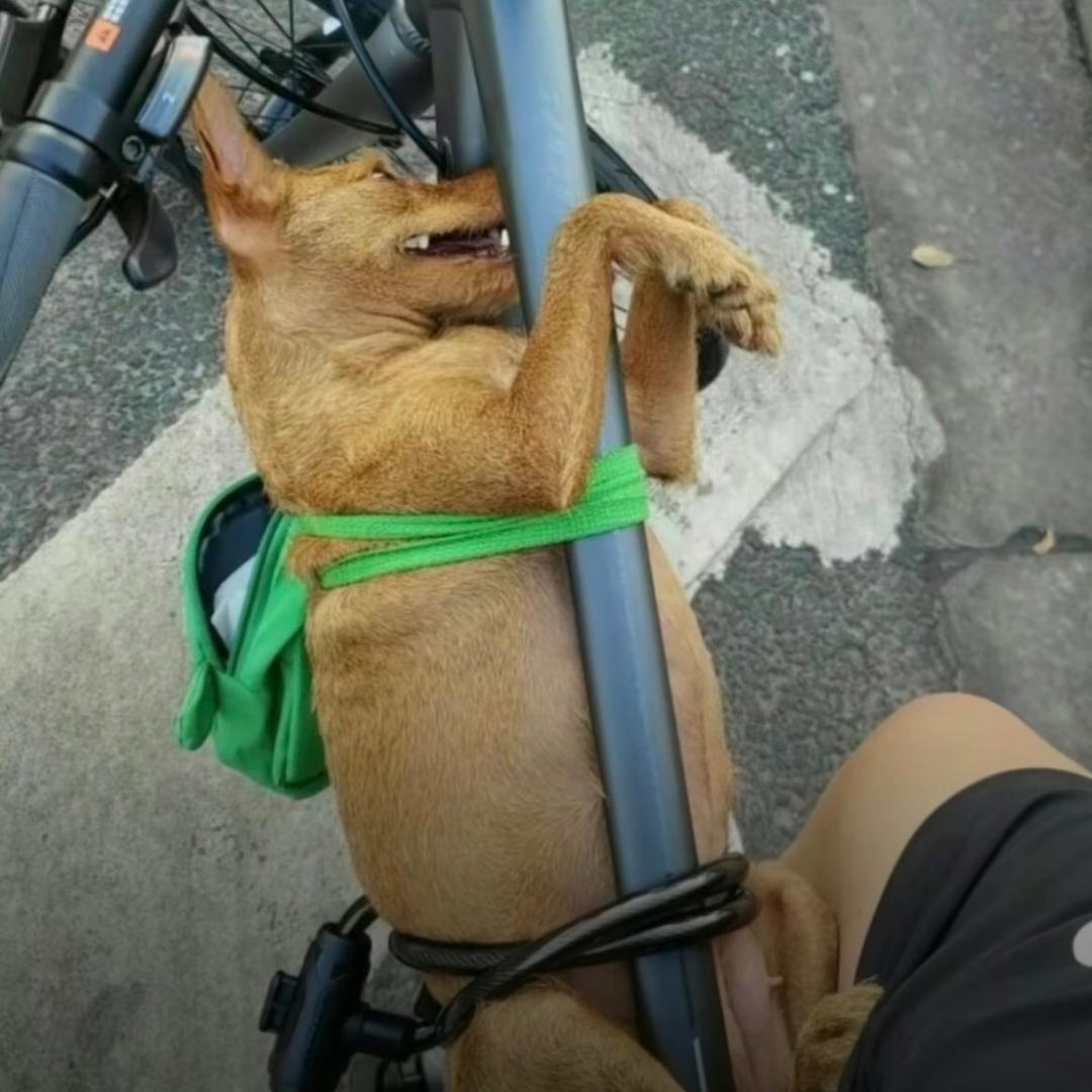 小余哥