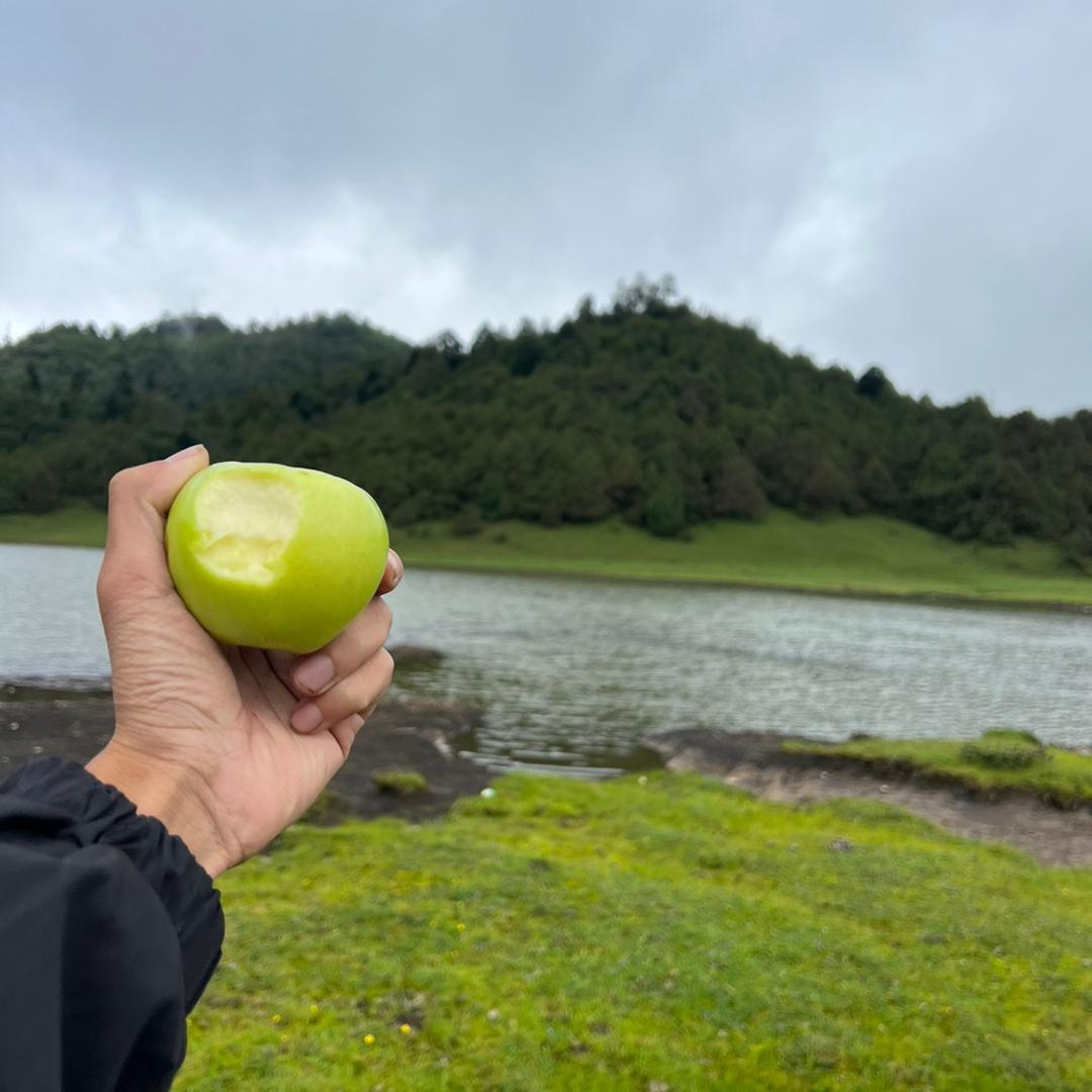 原来是杨渣精啊