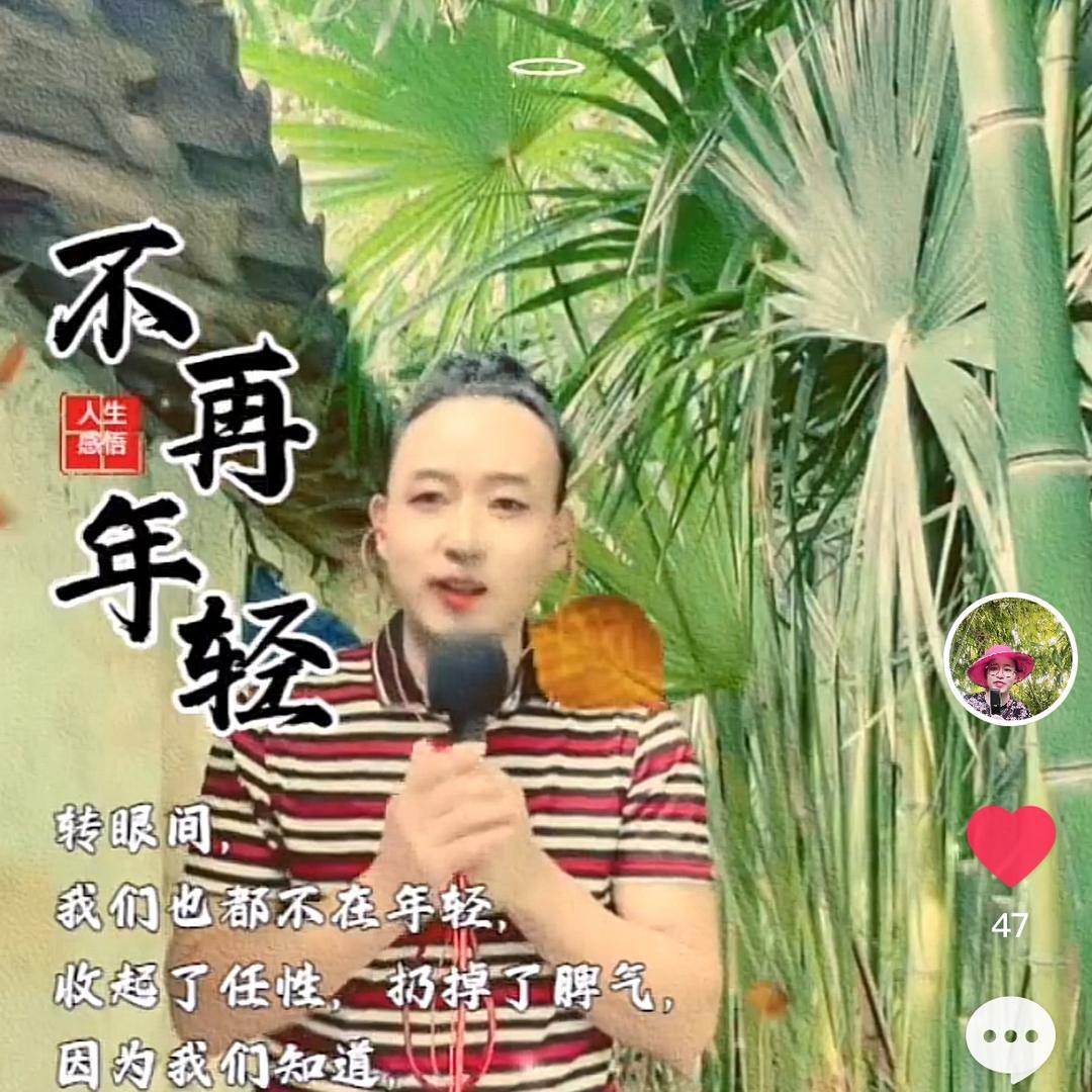 小马歌