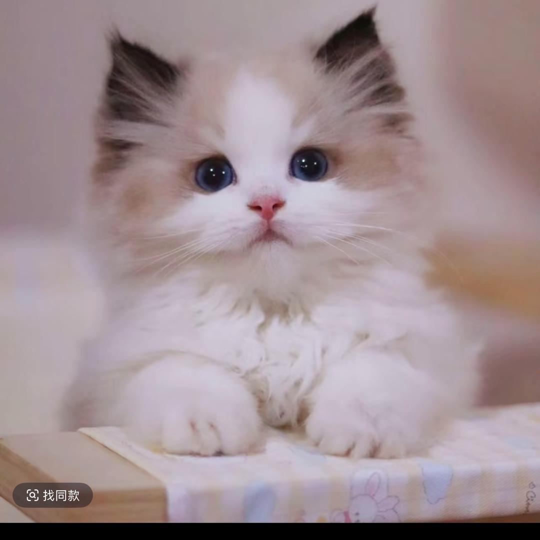 小宝👾