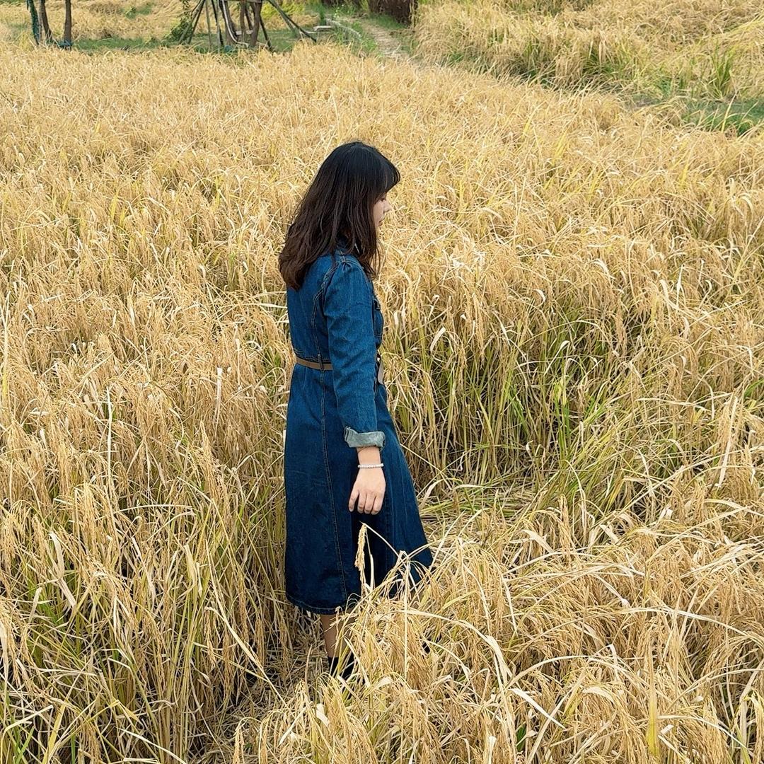 菠萝妹妹