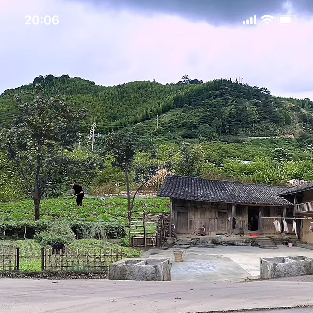 集宝华