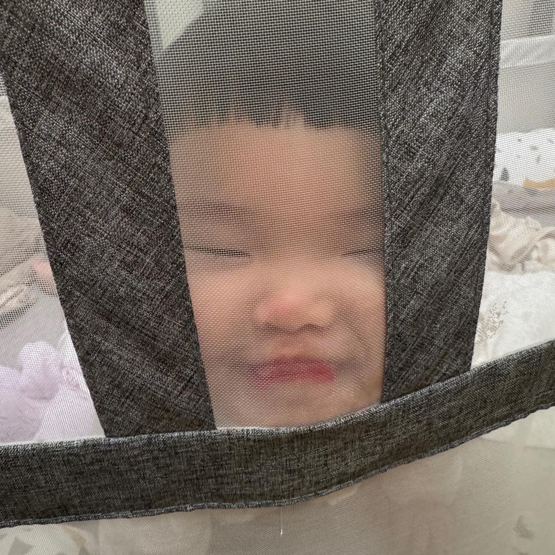 是爸爸的紫霞呀