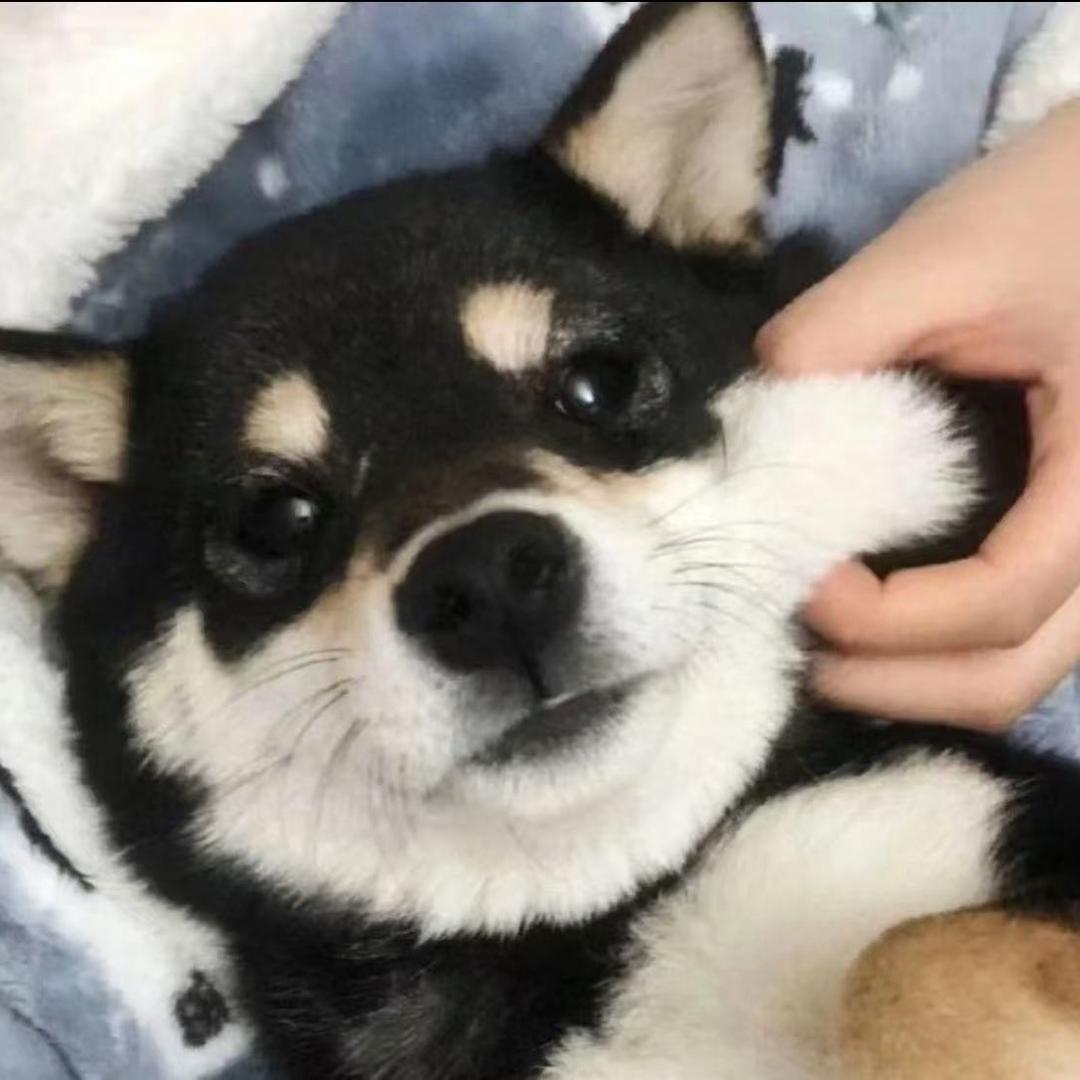 一颗甜葡桃