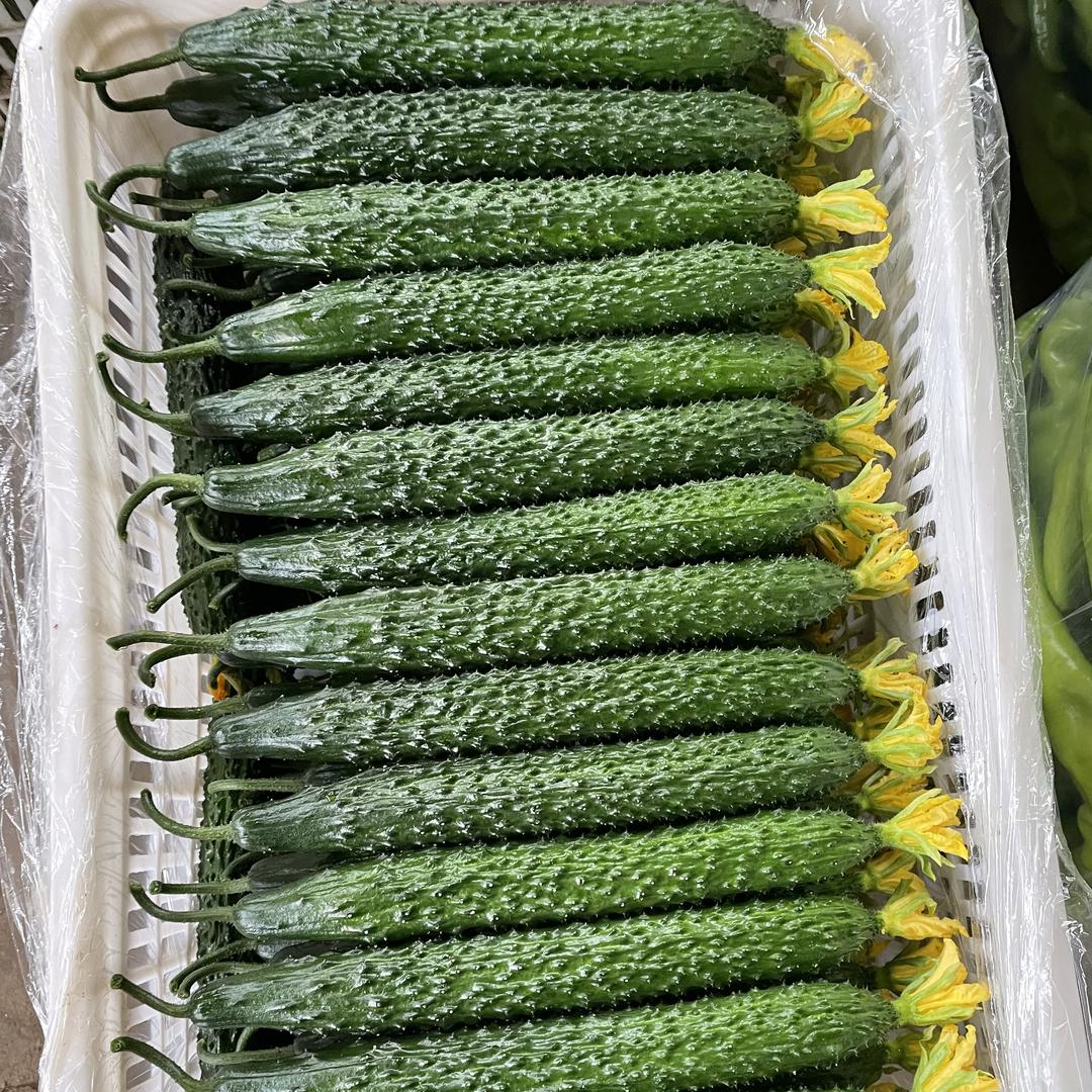 莘县敏姐果蔬