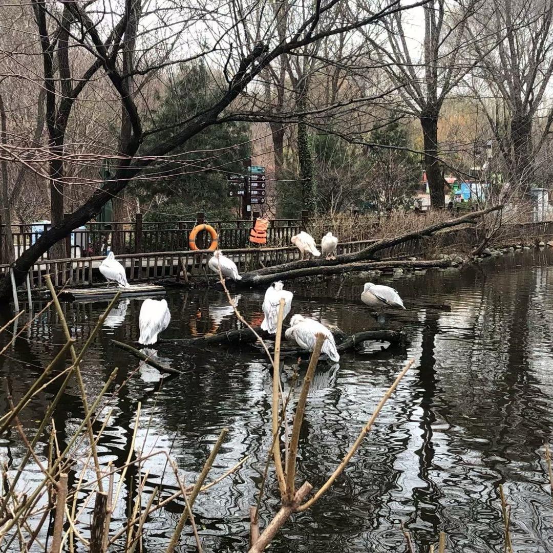 ㅇㅂㅇ🧚🏻‍♀️