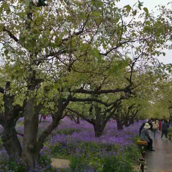 开心每一天 （橱窗有好物）