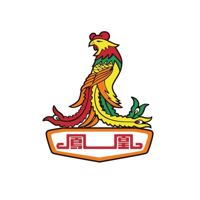 凤凰医疗器械旗舰店