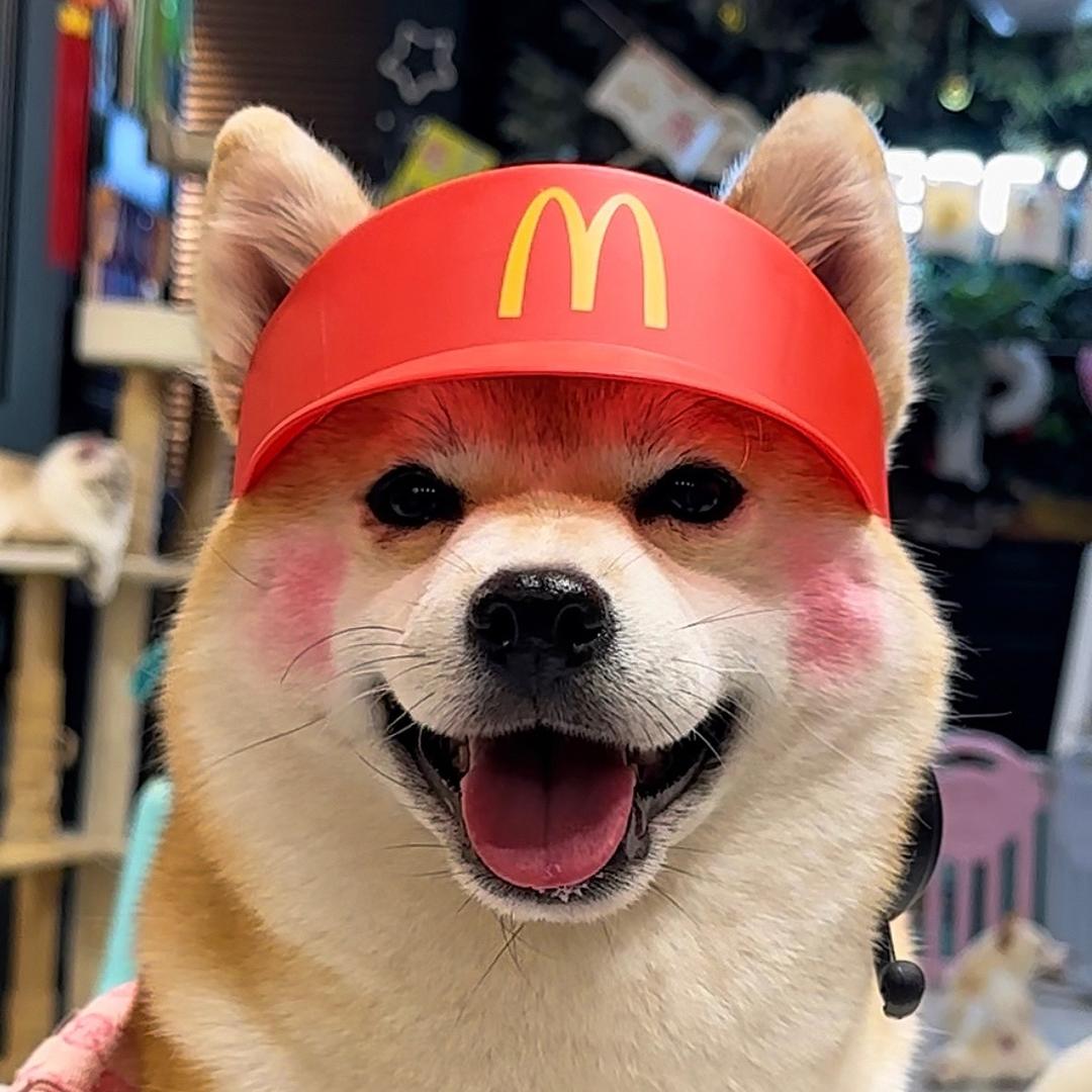 抓墙的怪兽