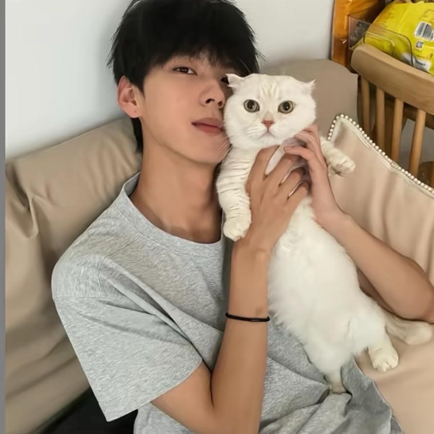 无敌佐助大王