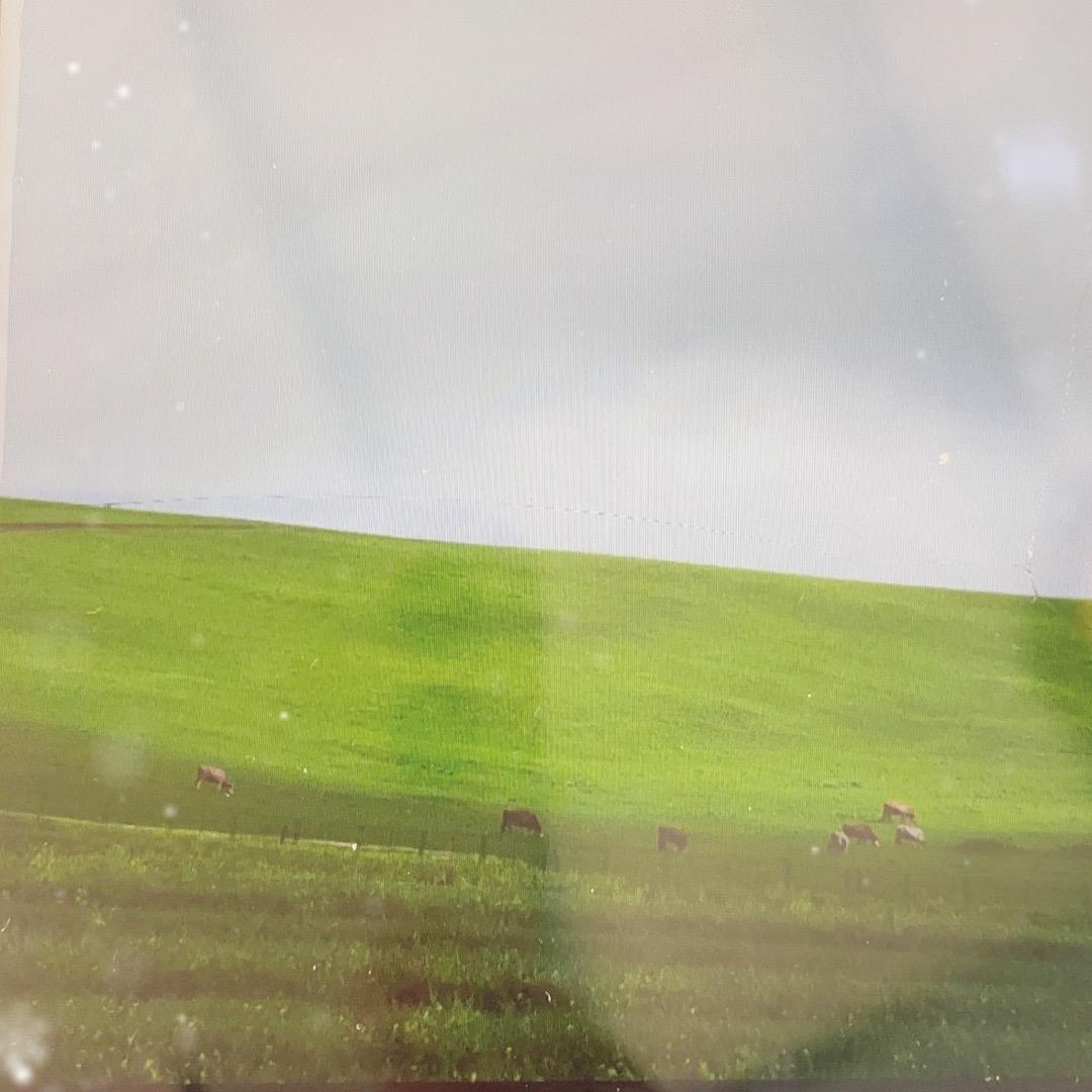 69101799237