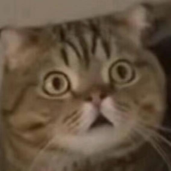 浪里白条徐某人ૂ