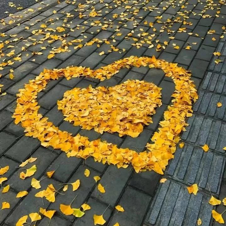 柏雅水电(团队招人)
