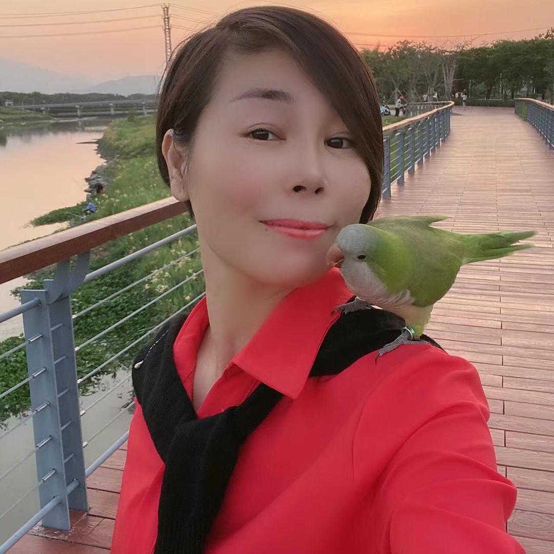 灵芝姐和鹦鹉陈豆豆