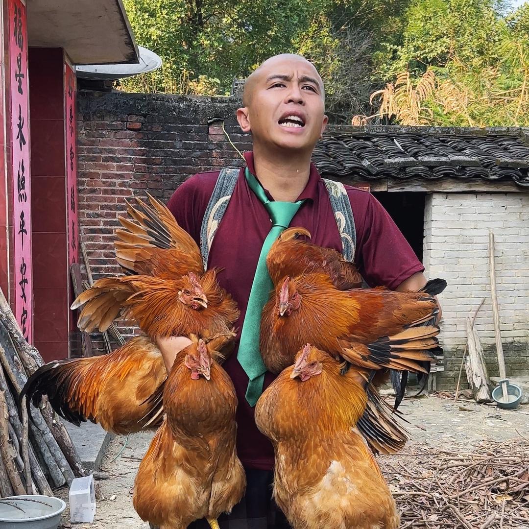 牛村长传媒