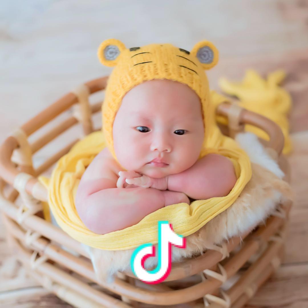 铿锵玫瑰