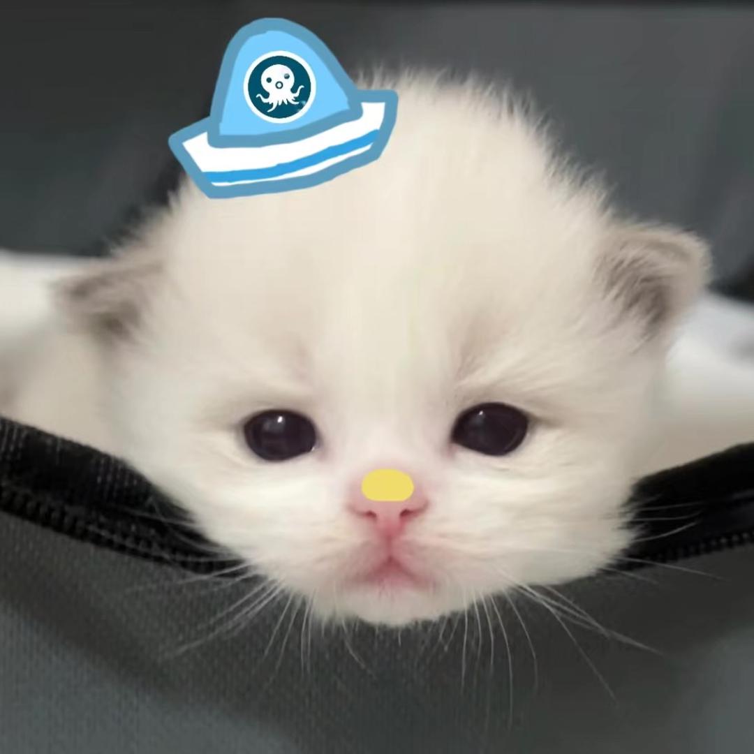 . 보고 싶어