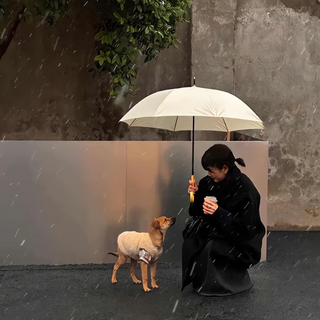 难相遇.