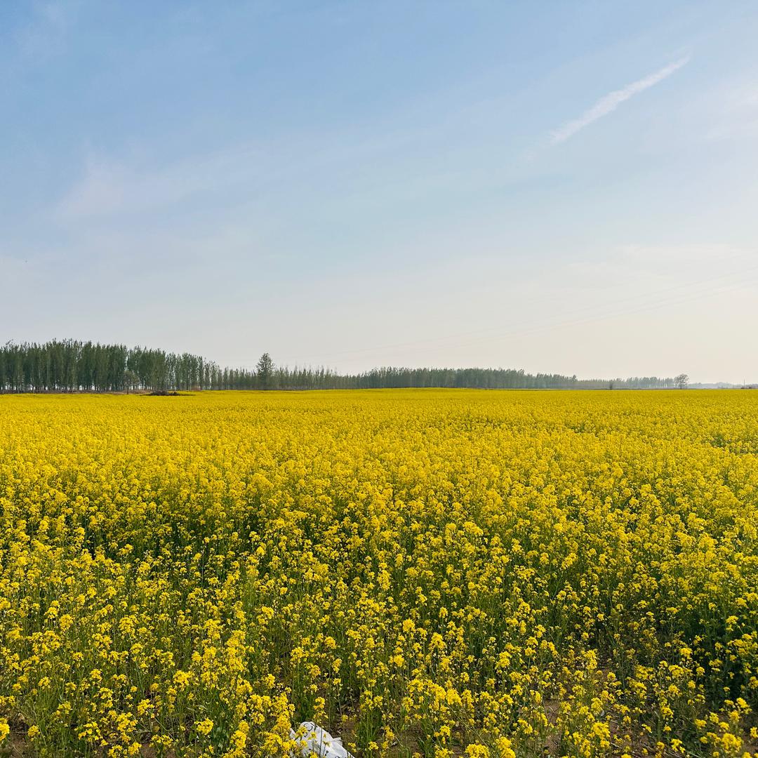 开心～₍˄·͈༝·͈˄*₎◞ ̑̑