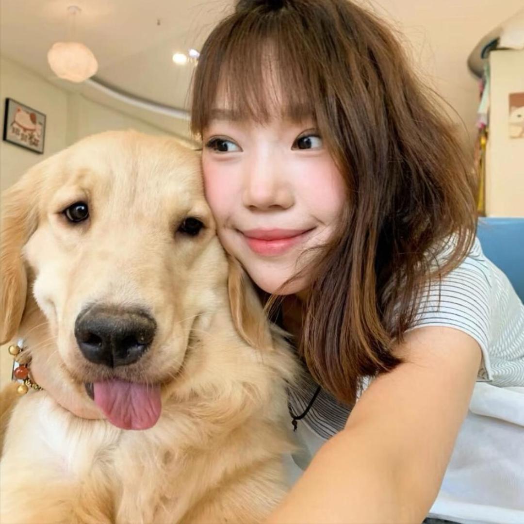 美羊羊羊羊