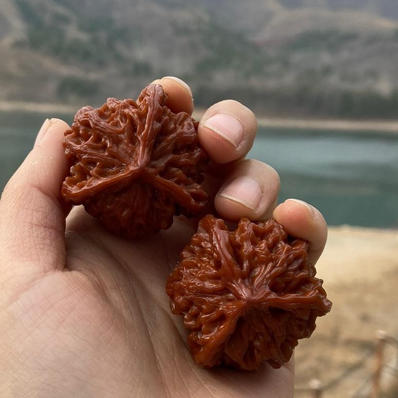 乐阳文玩核桃