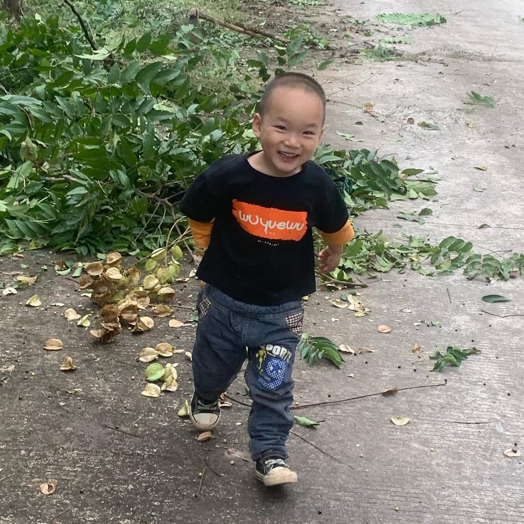 我们这有野生何首乌麦冬地丹头黄精