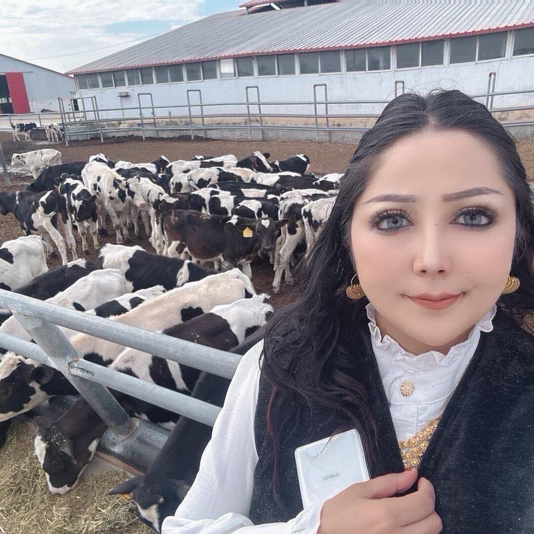 kalbinur牛批发市场5号