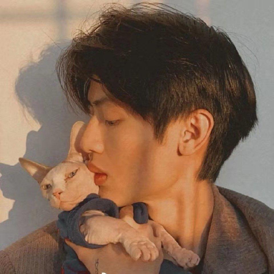 hao8