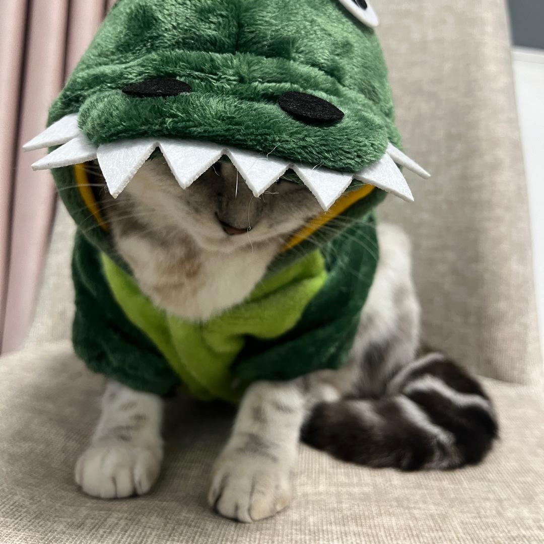 想上长白班