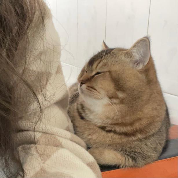 小由走