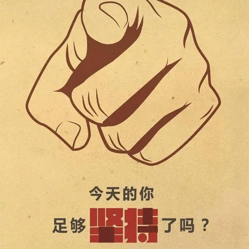 除了头皮全是脑🫵