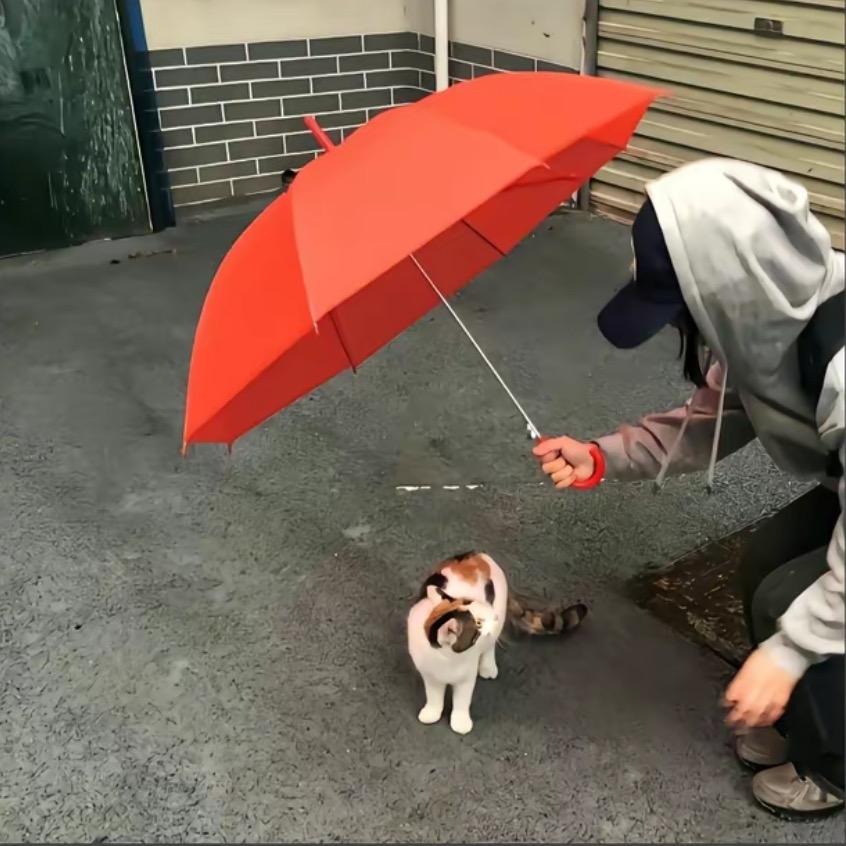 、、、