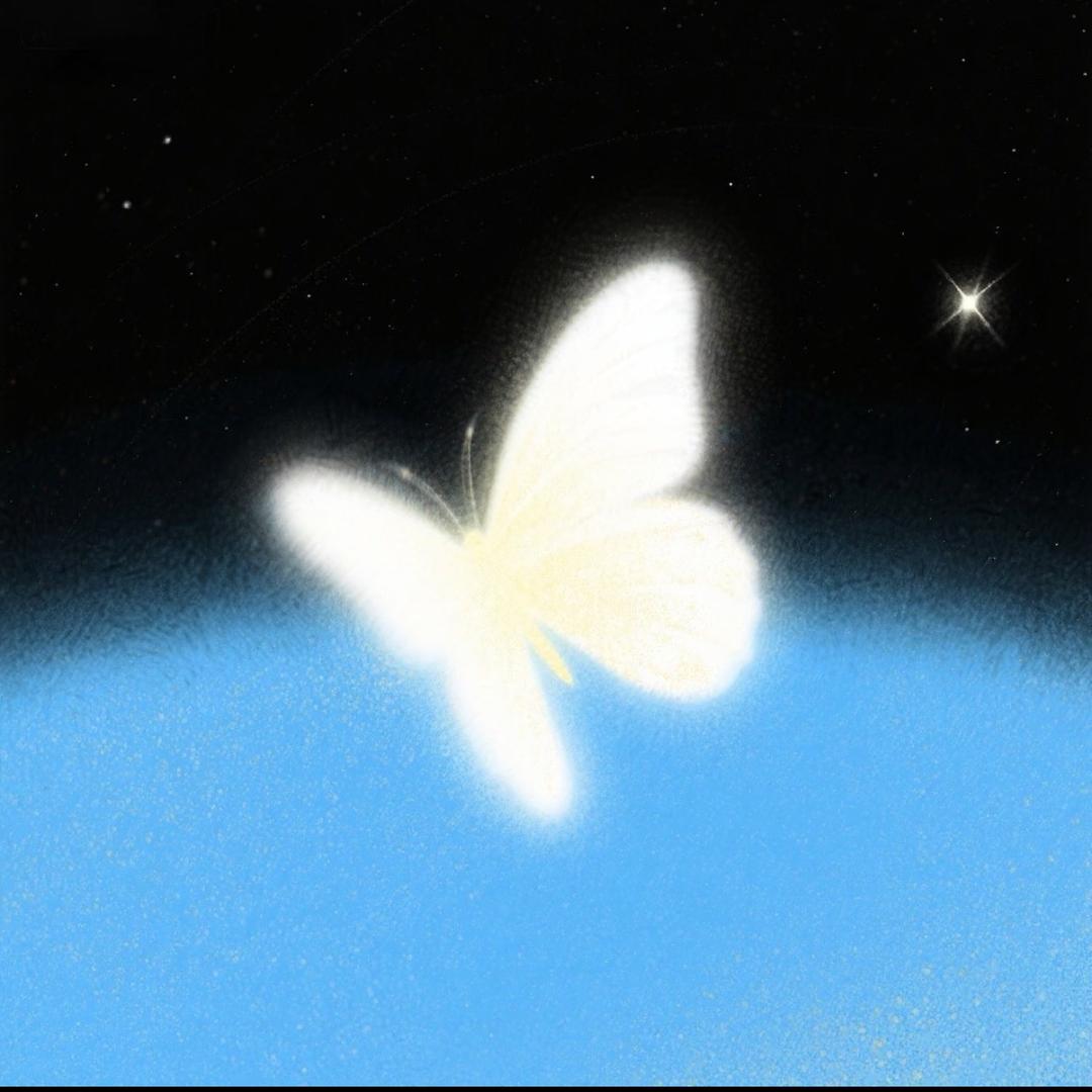 🦋24xxx_