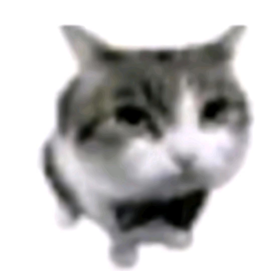 mao
