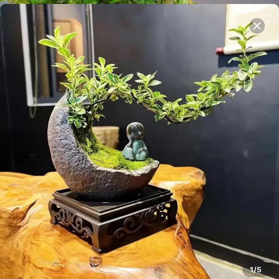 勿忘初心.