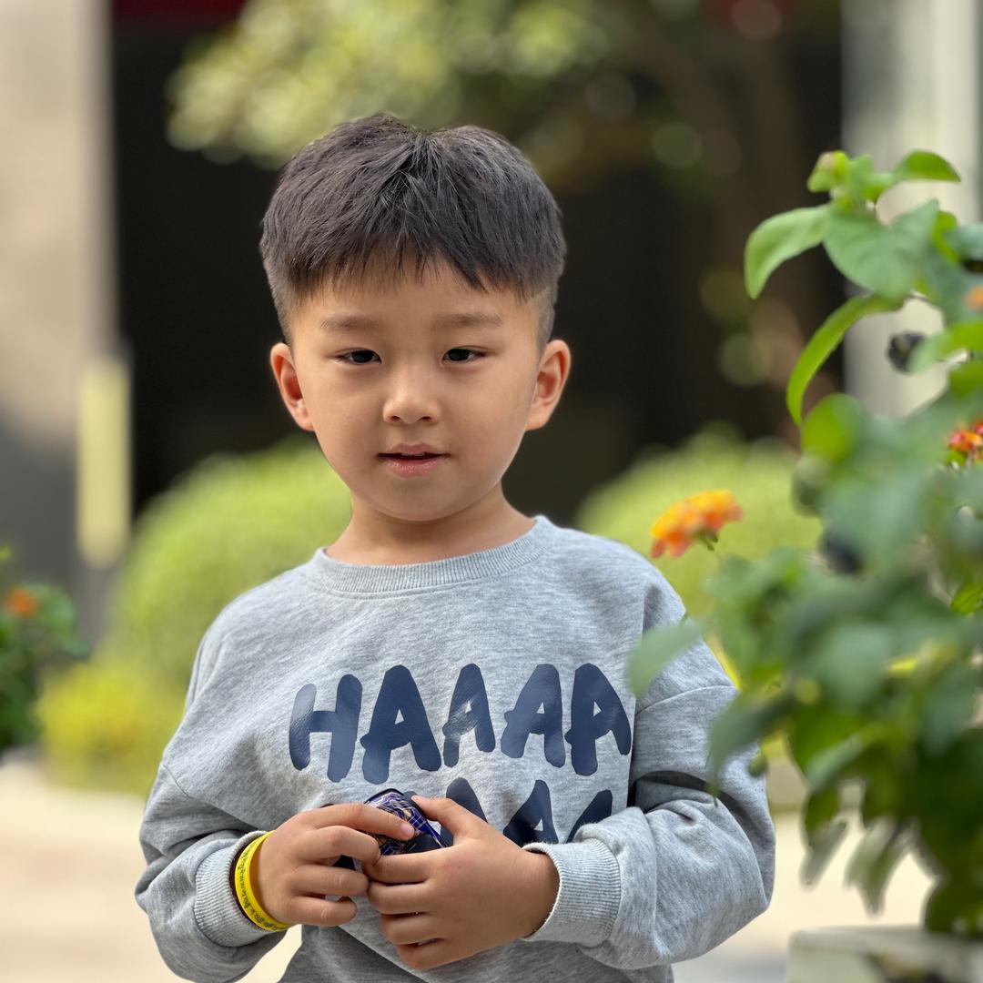 是仔仔呀